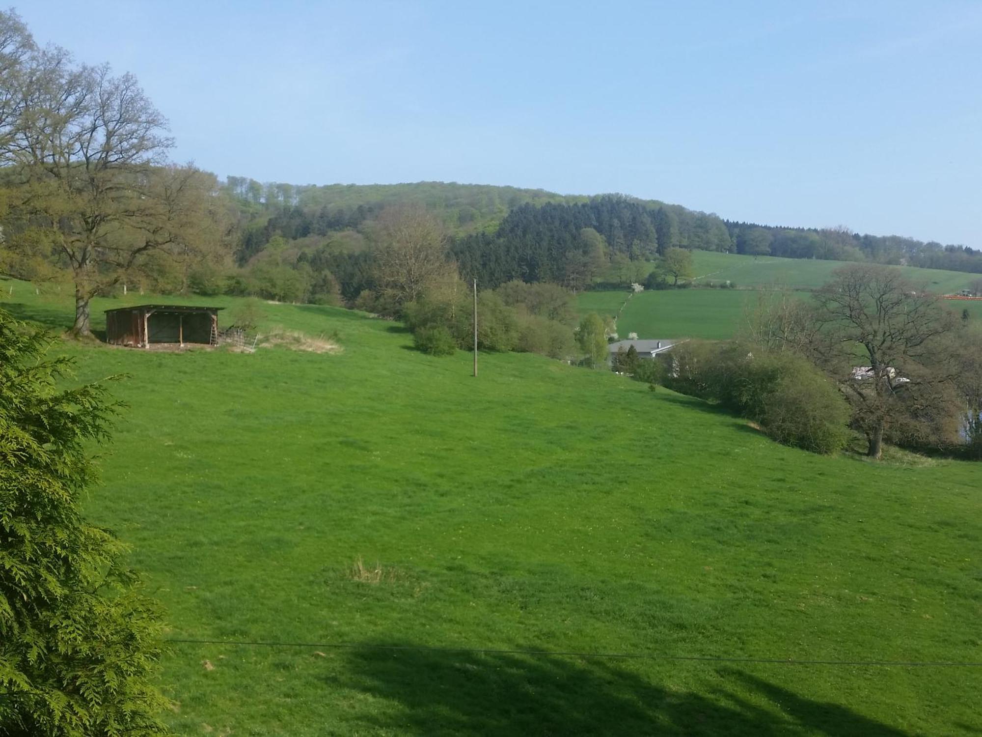 Fewo Am Wald Balve Bilik gambar